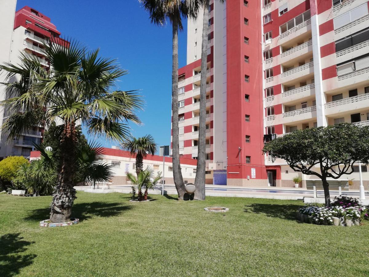 Don Ximo Solo Familia Serviplaya Playa de Gandia Exteriör bild